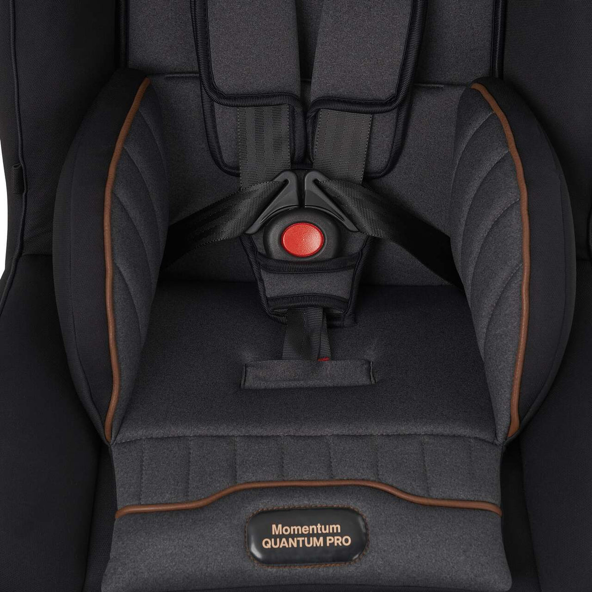 Momentum Quantum Pro