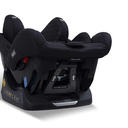 Momentum Onyx