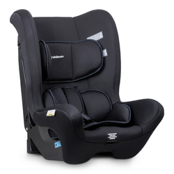 Minima Convertible Car Seat