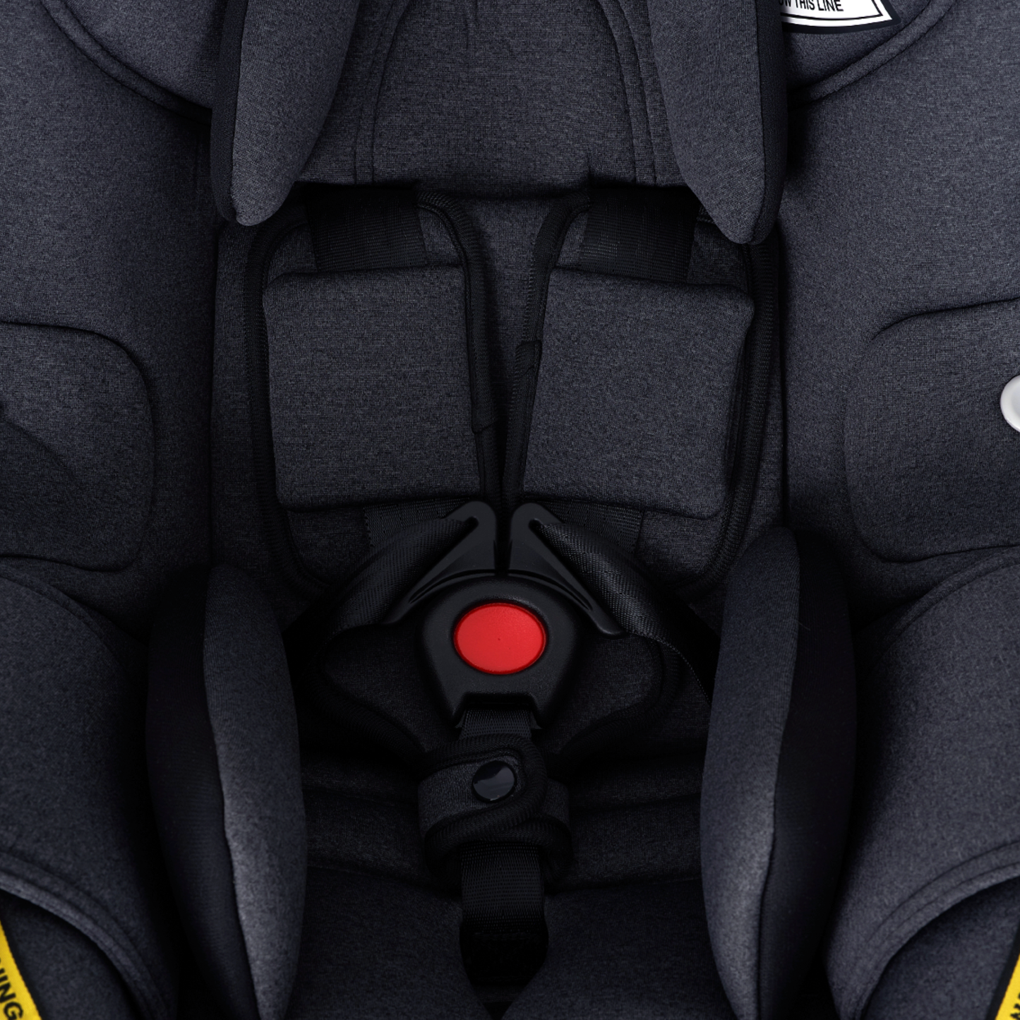 Cocoon Go Capsule + Spare Base Bundle