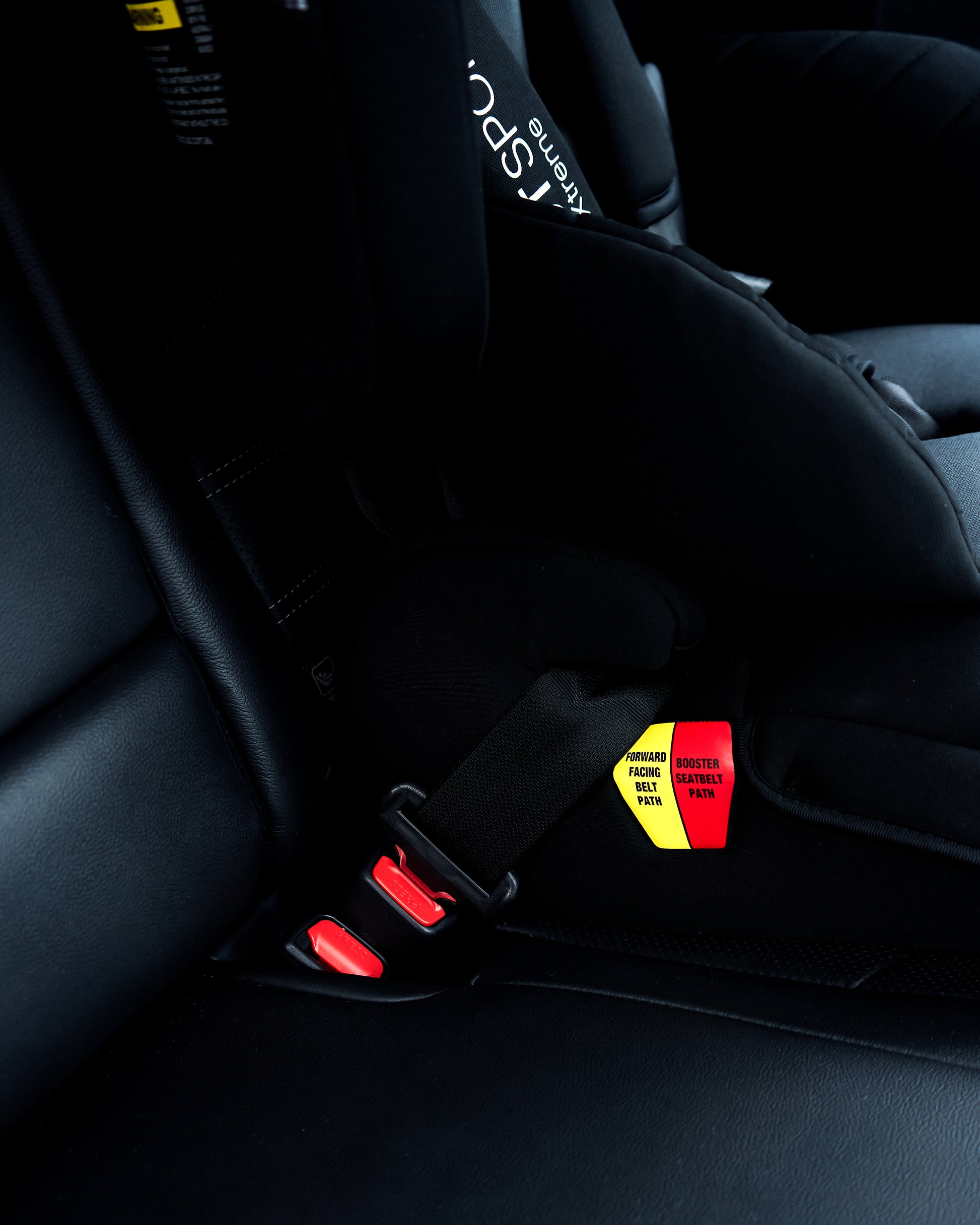 InfaSecure Xtreme GT Sport Convertible Booster Seat (6m-8y) Infa