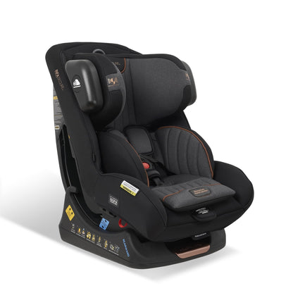Momentum Quantum Pro