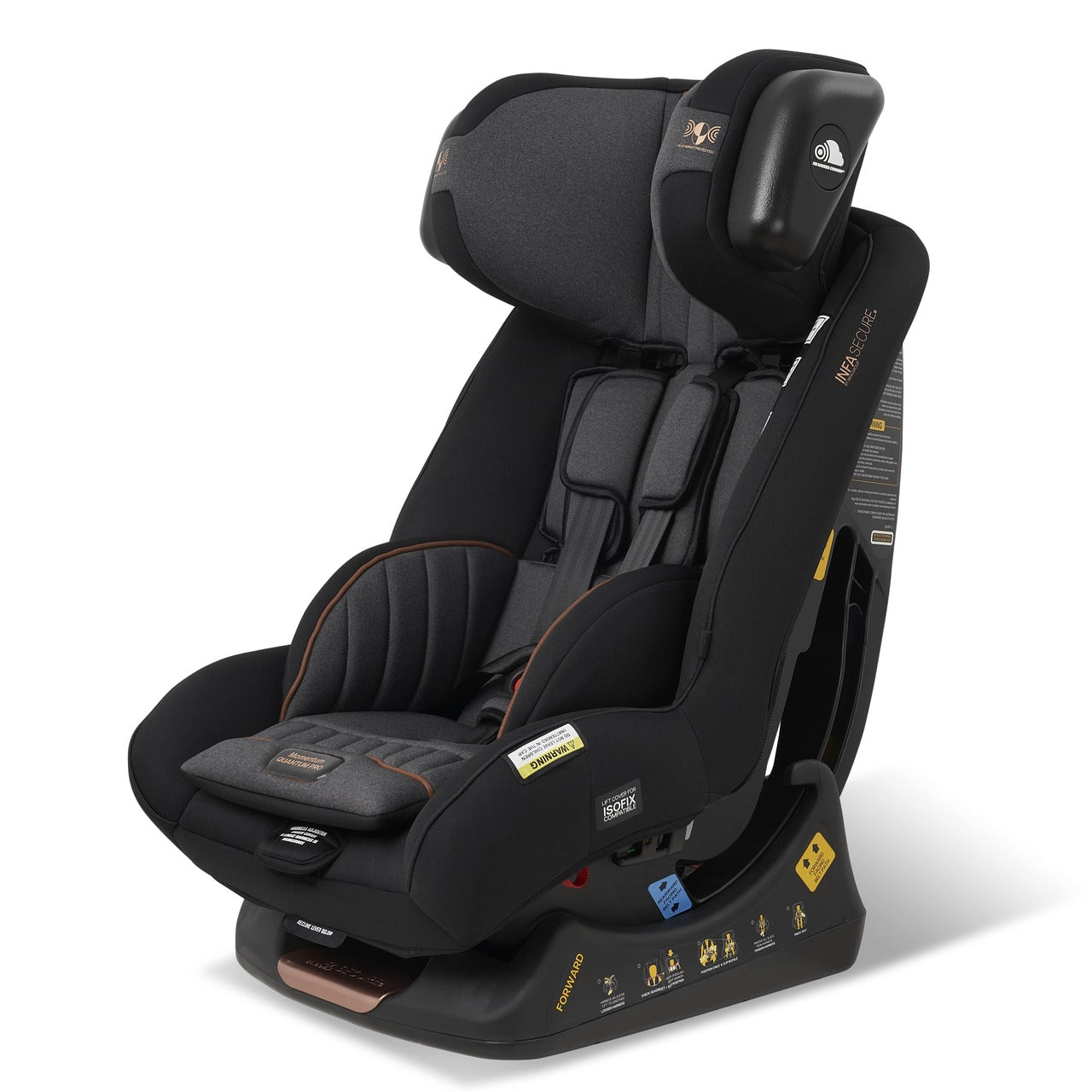 Momentum Quantum Pro