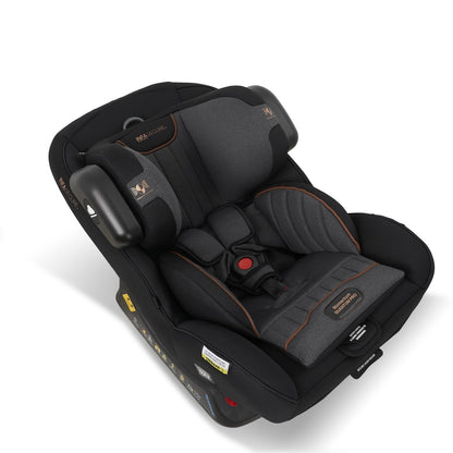Momentum Quantum Pro