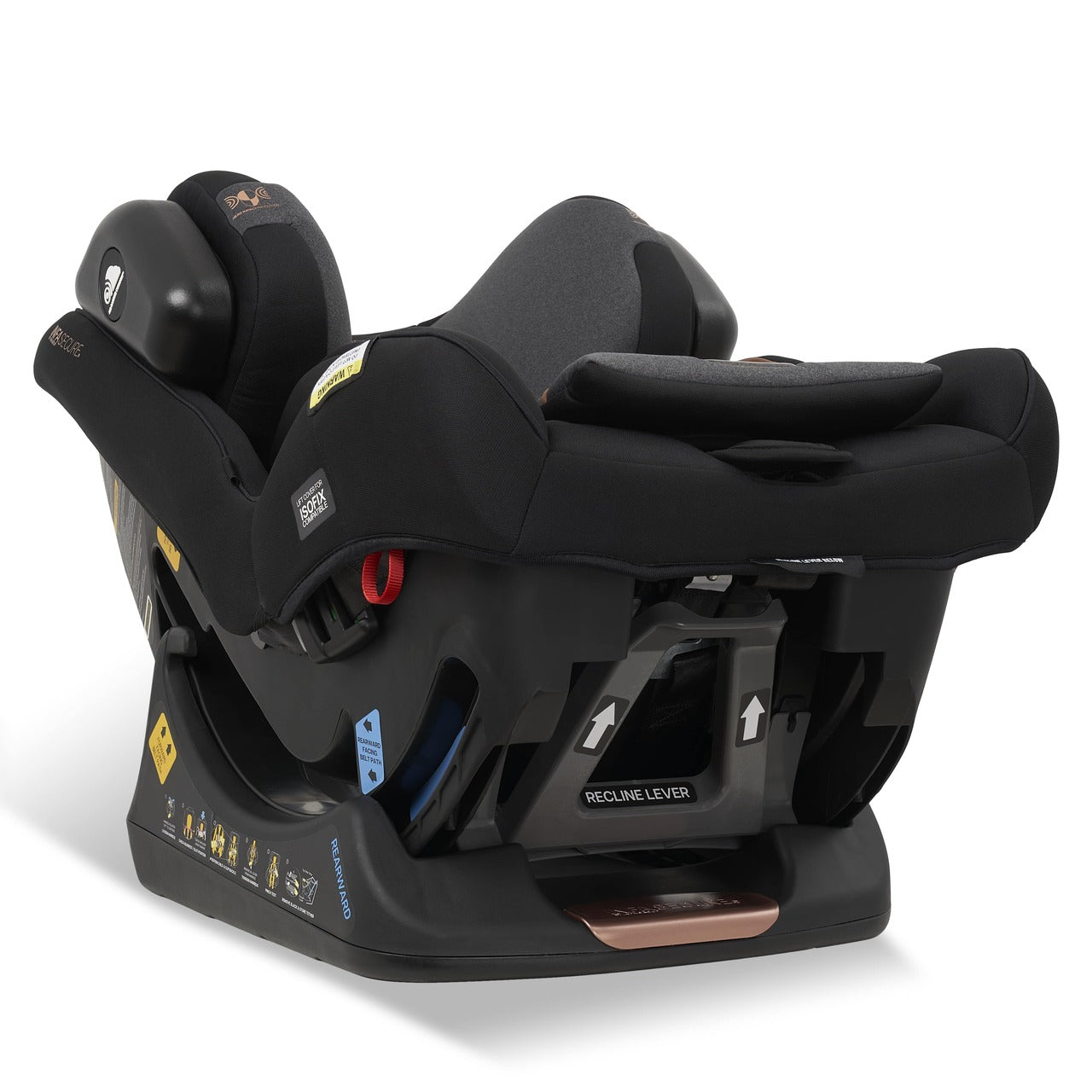 Momentum Quantum Pro