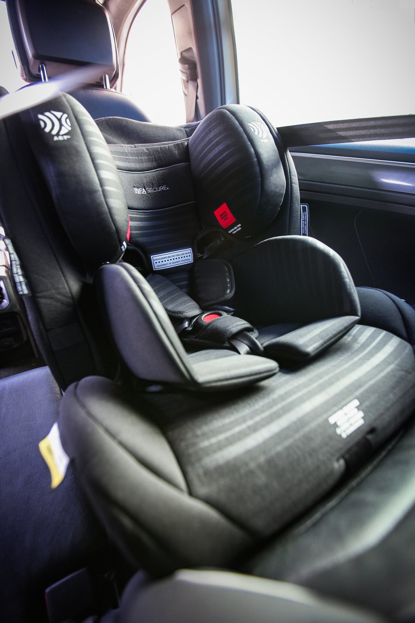 Luxi II Caprice Stripe