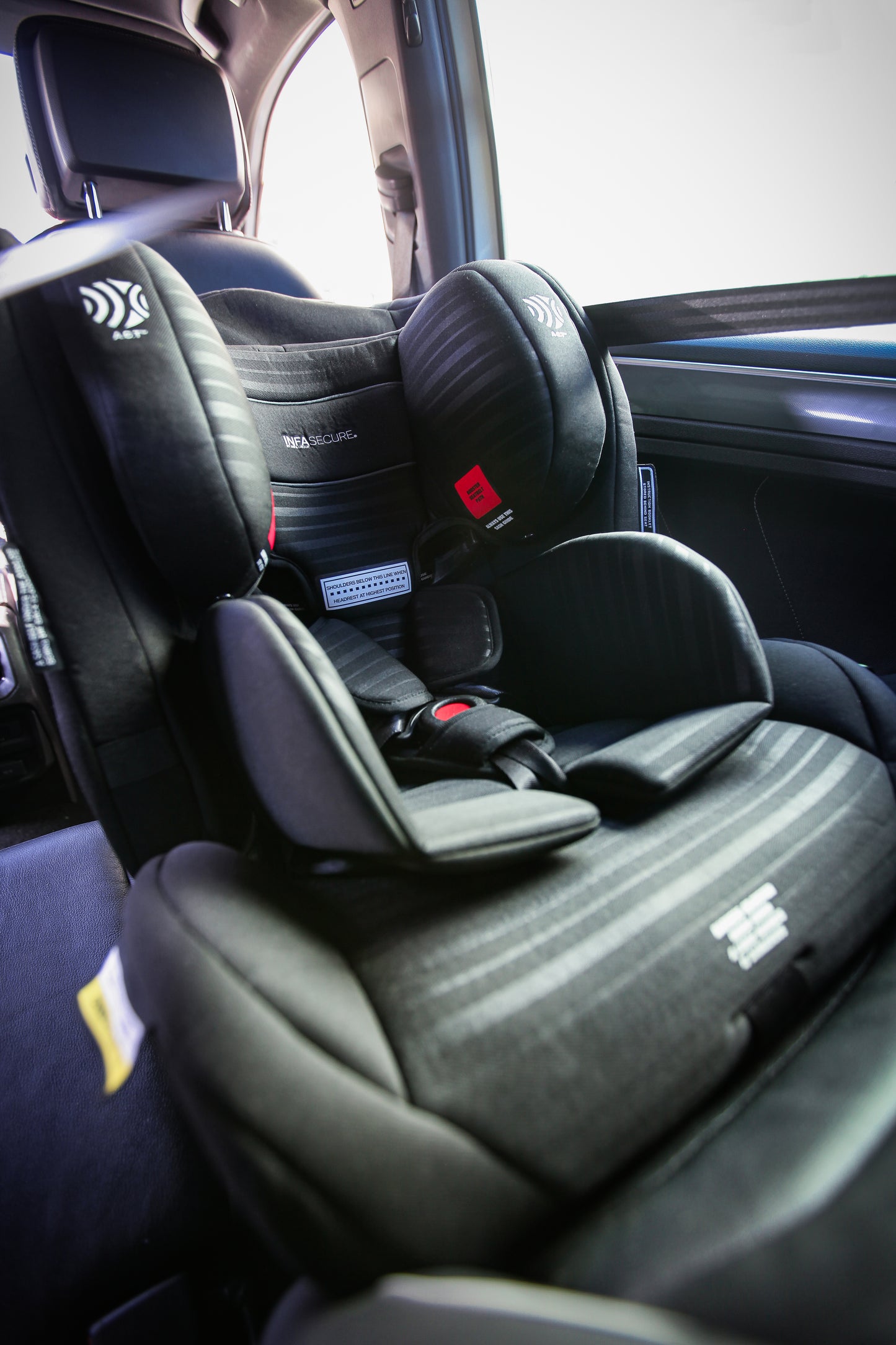 Luxi II Caprice Stripe