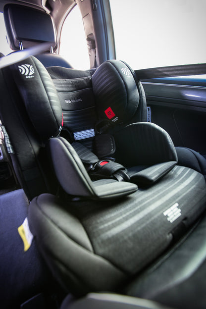 Luxi II Caprice Stripe
