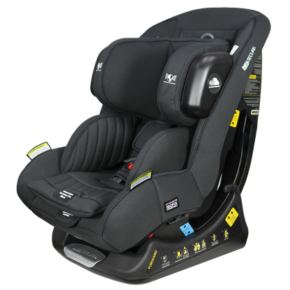 Momentum Quantum Pro Black