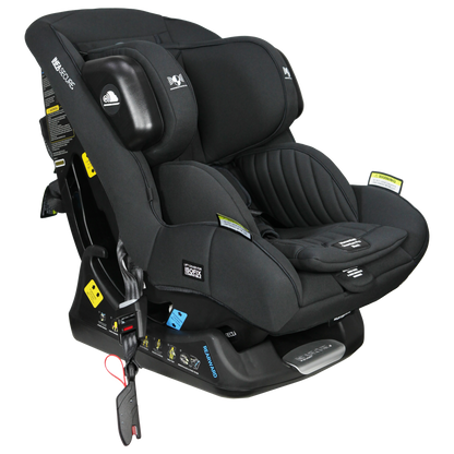 Momentum Quantum Pro Black