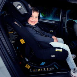 Momentum Quantum Pro