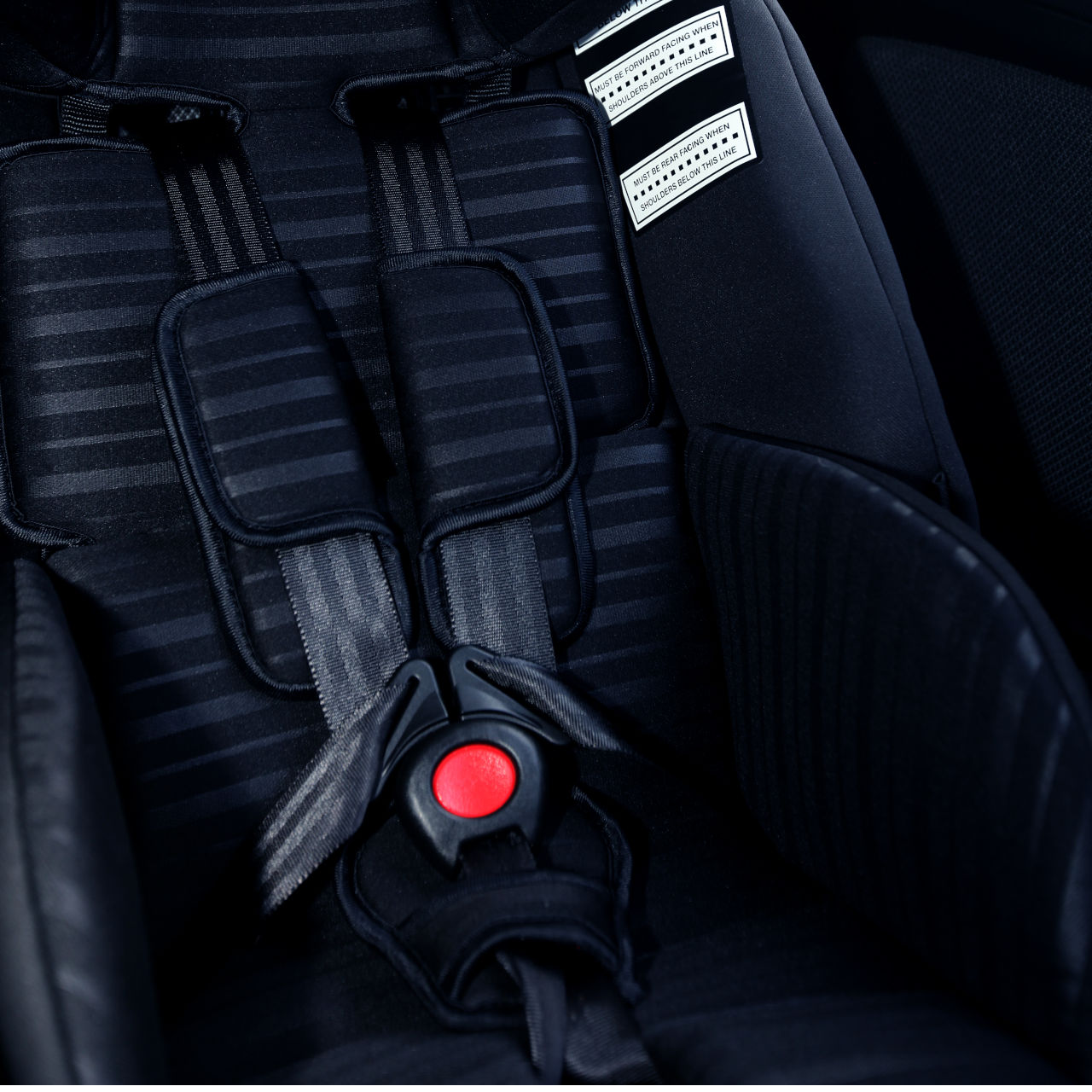 Velocity Caprice