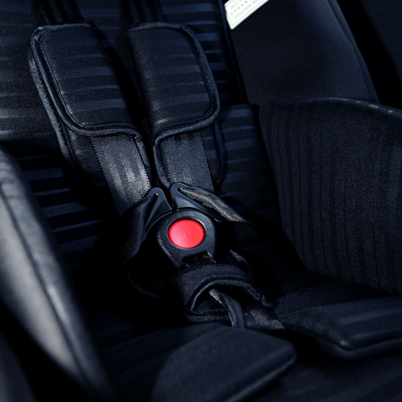 Velocity Caprice