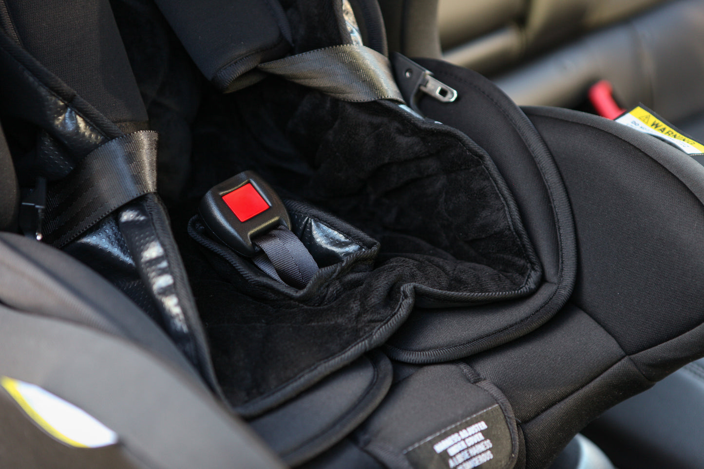 Deluxe Piddle Pad
